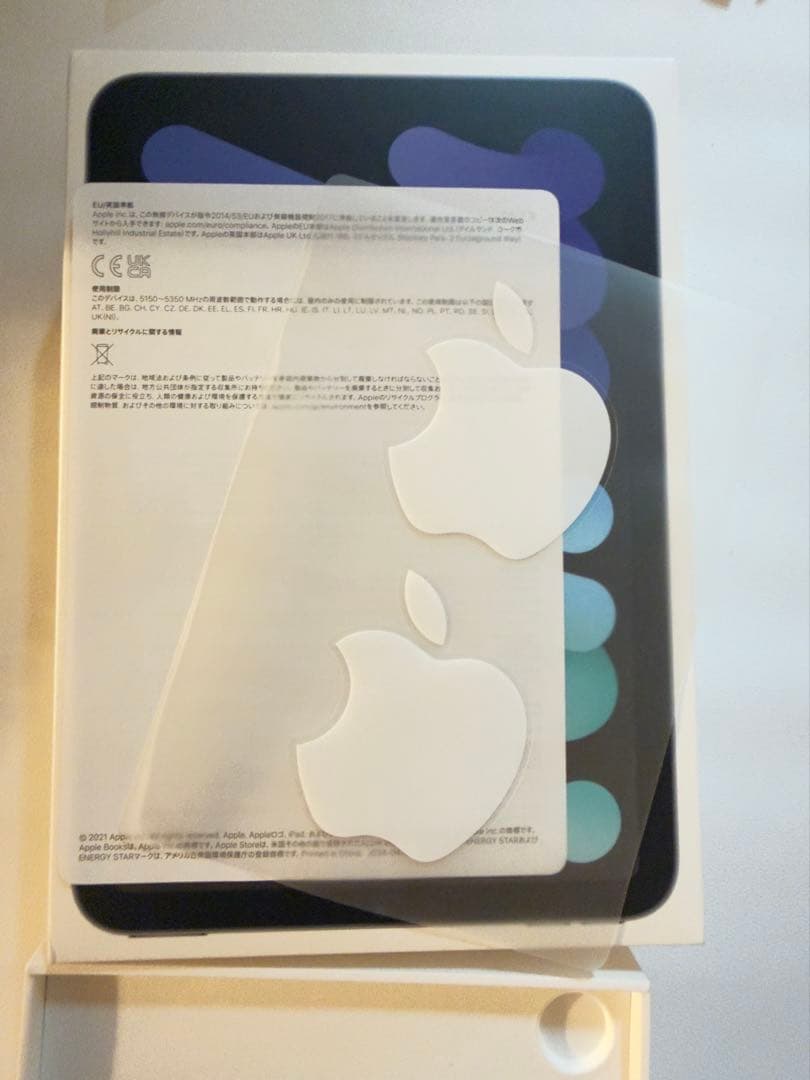 Apple iPad mini6 (256GB) スペースグレイ