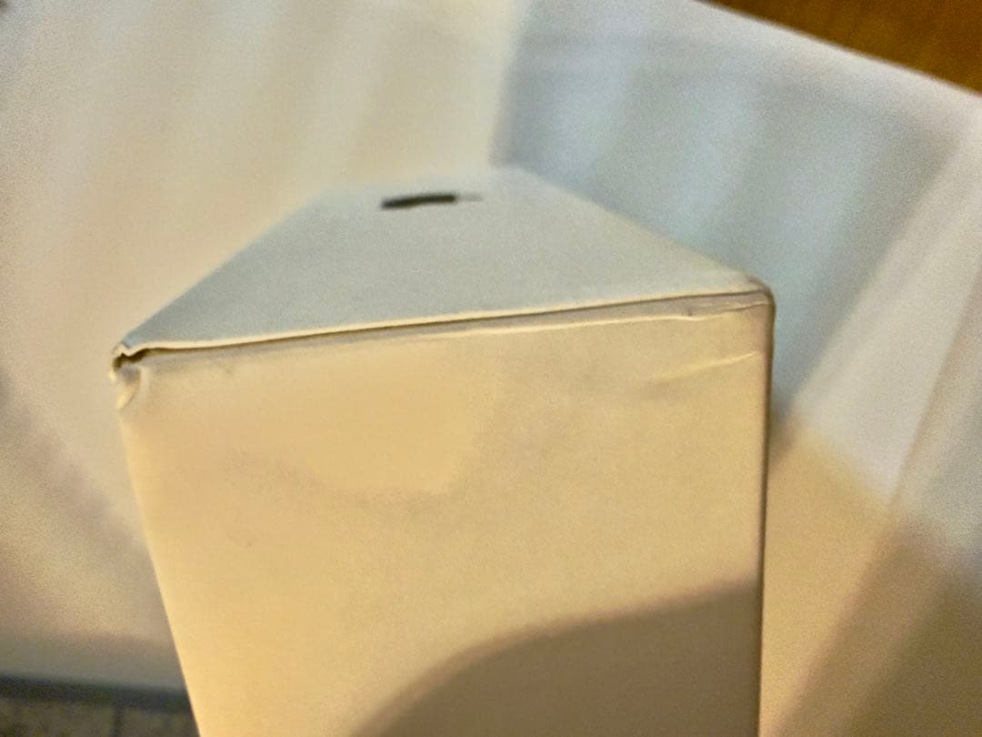 Apple iPad mini6 (256GB) スペースグレイ