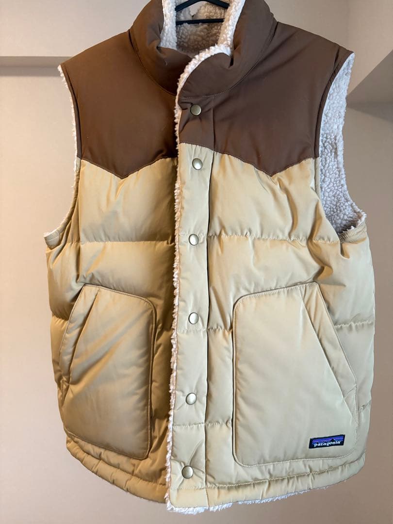 Patagonia フリースダウンベスト