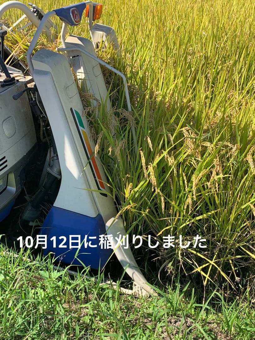 令和7年度　新米ヒノヒカリ　20kg(玄米)送料込