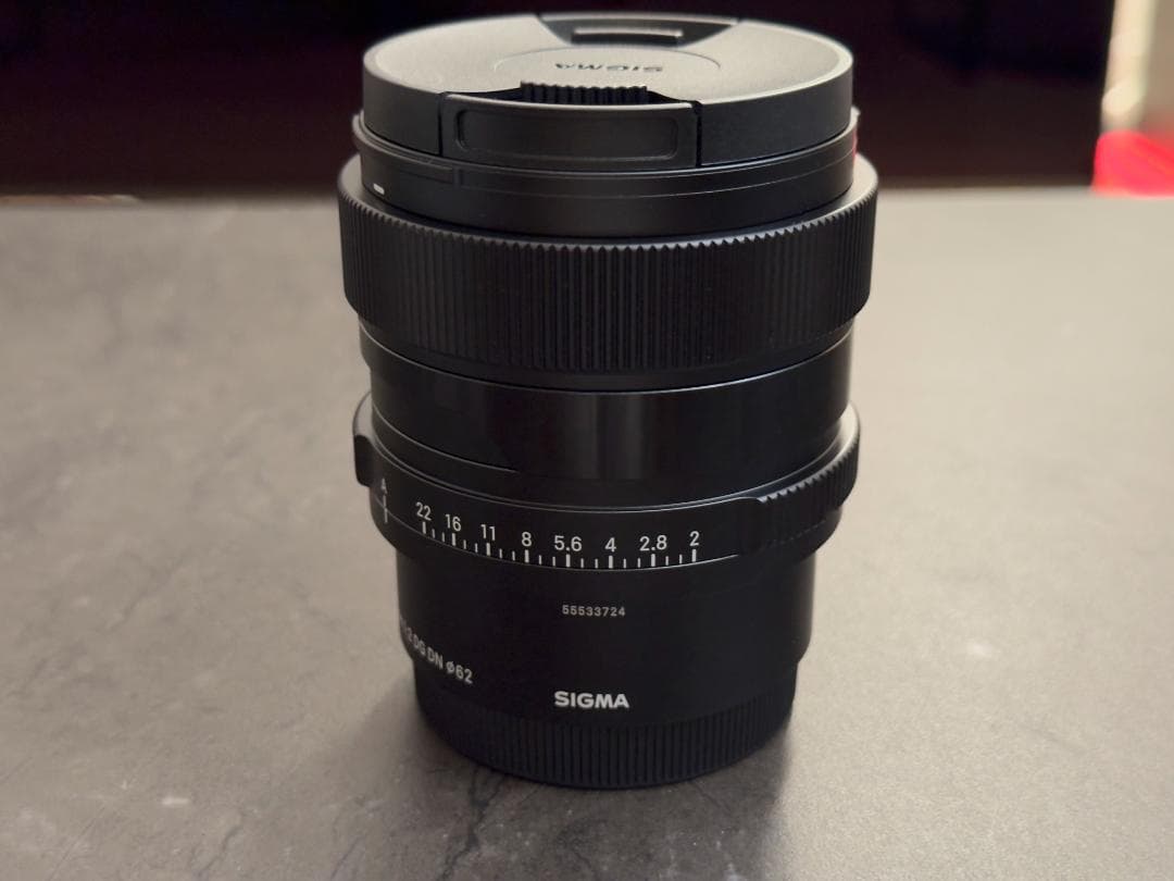 シグマ SIGMA 65mm F2 DG DN レンズ SONY Eマウント用