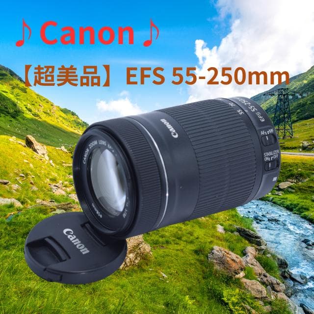 【極美品】EF-S 55-250mm 1:4-5.6 IS STM