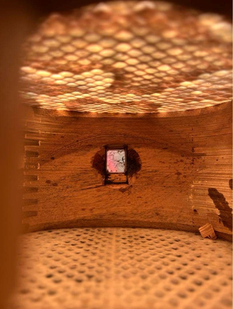 沖縄県産(国頭村)島黒木　沖縄　三線　和楽器