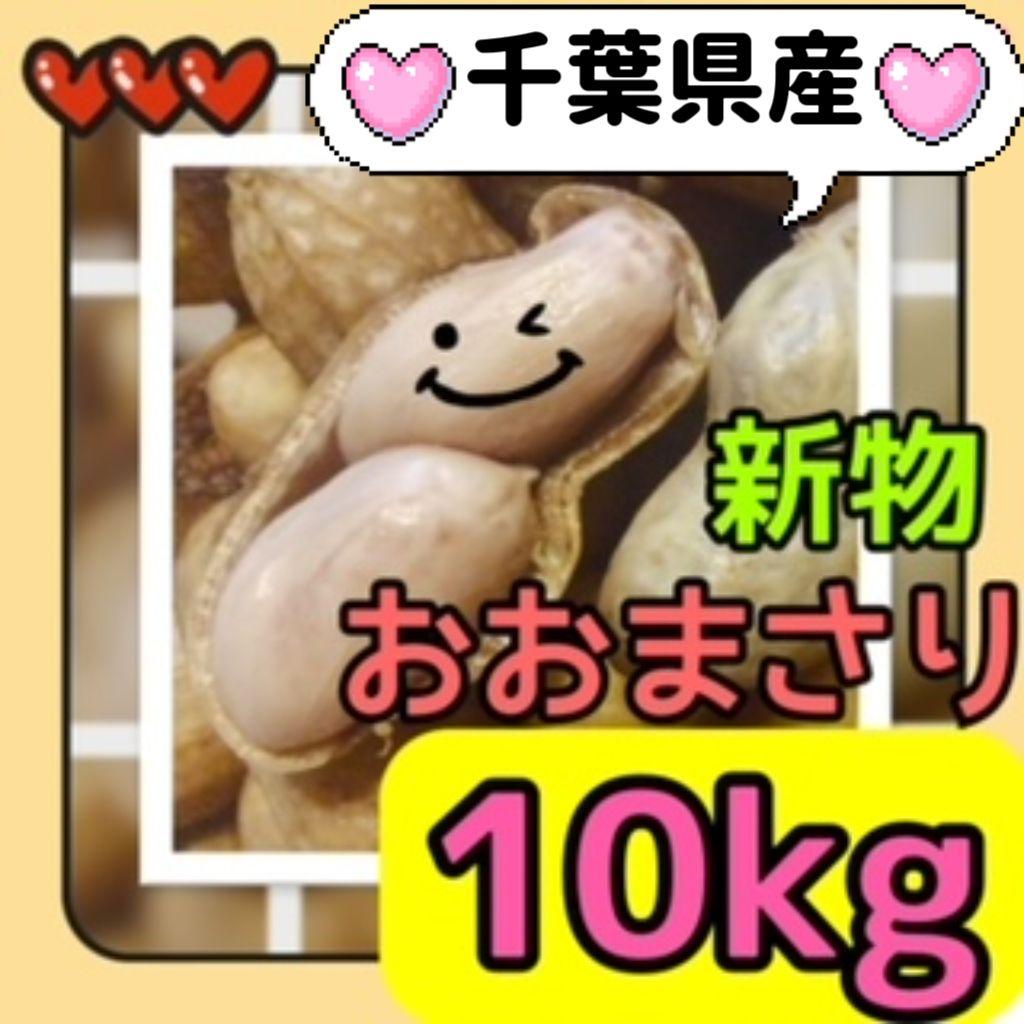 10kg【おおまさり】生落花生　新鮮　本場千葉県産※箱込み1016