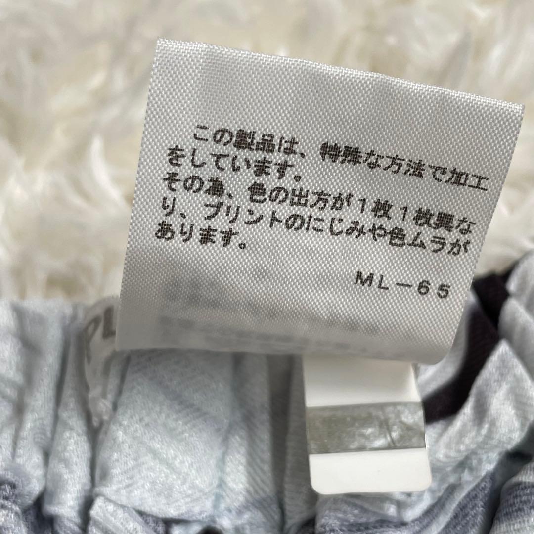 【極美品】プリーツプリーズ　ストライプ プリーツ ガウチョパンツ　サイズ5