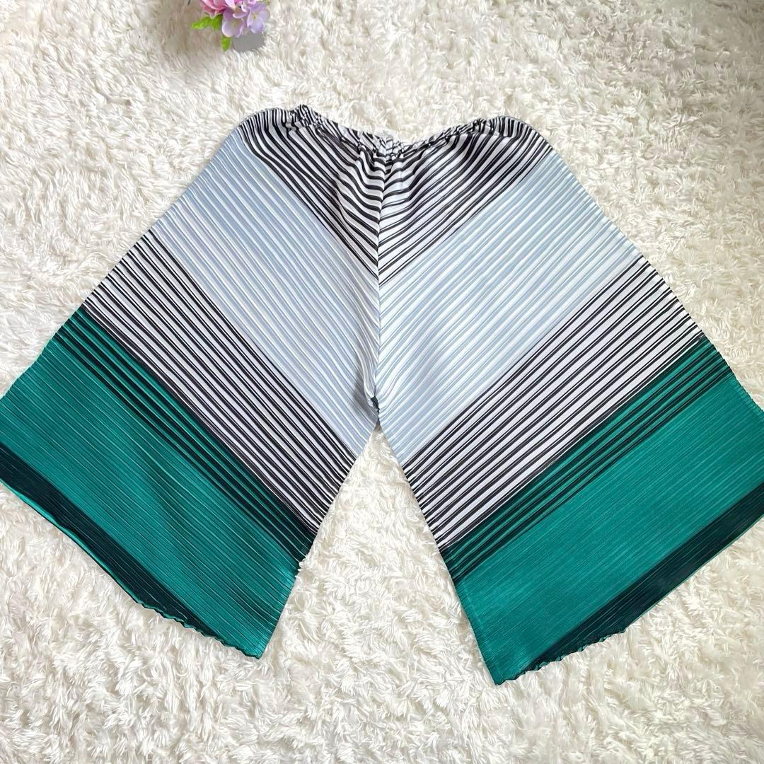 【極美品】プリーツプリーズ　ストライプ プリーツ ガウチョパンツ　サイズ5