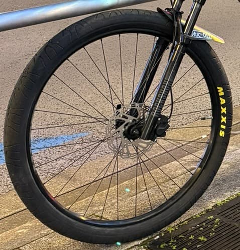 Maxxis フレームワーム　MaxxPro 29x2.50インチ　2本セット