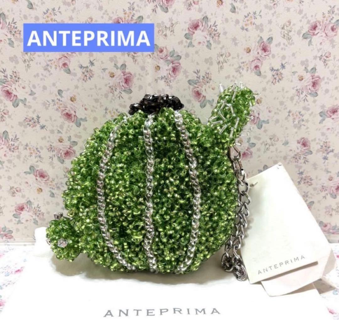 専用☆アンテプリマ☆スタンダード スクエアミディアム サボテンポーチ