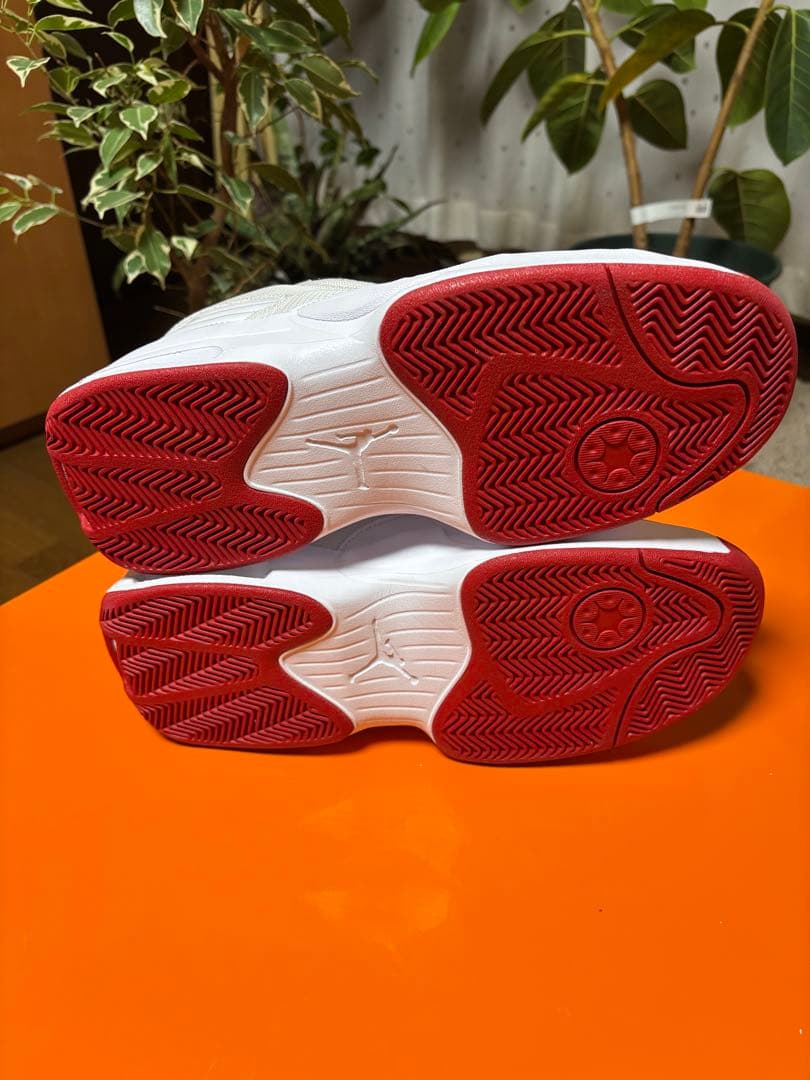 【新品・国内正規品】NIKE JORDAN MAX AURA 6