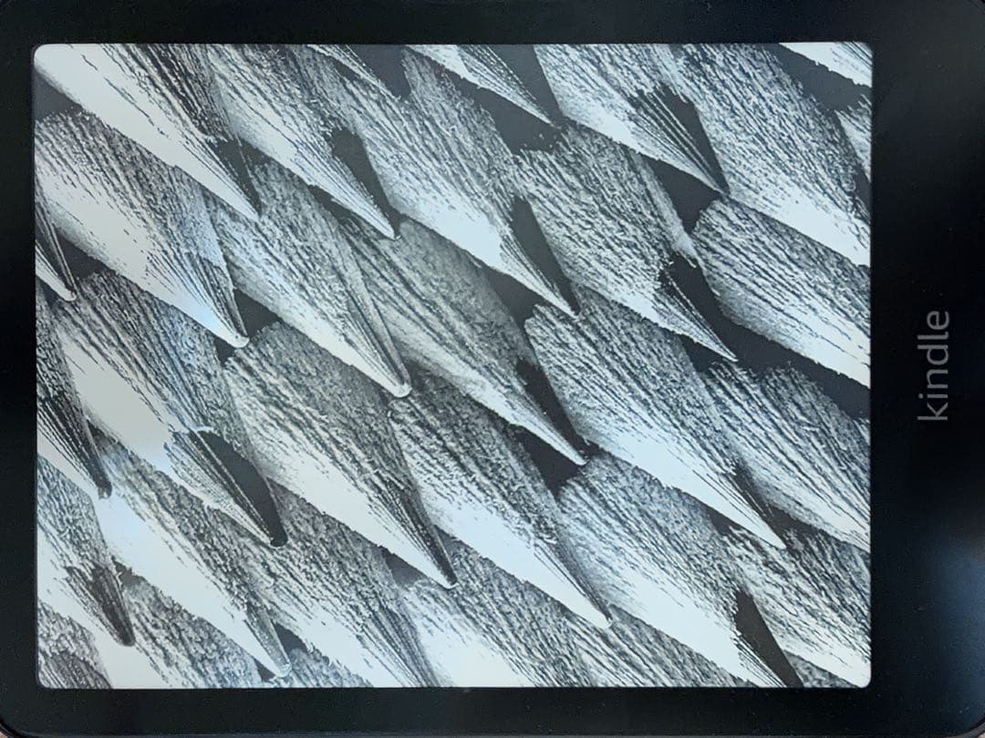 Kindle Paperwhite 第12世代 16GB カバー付き