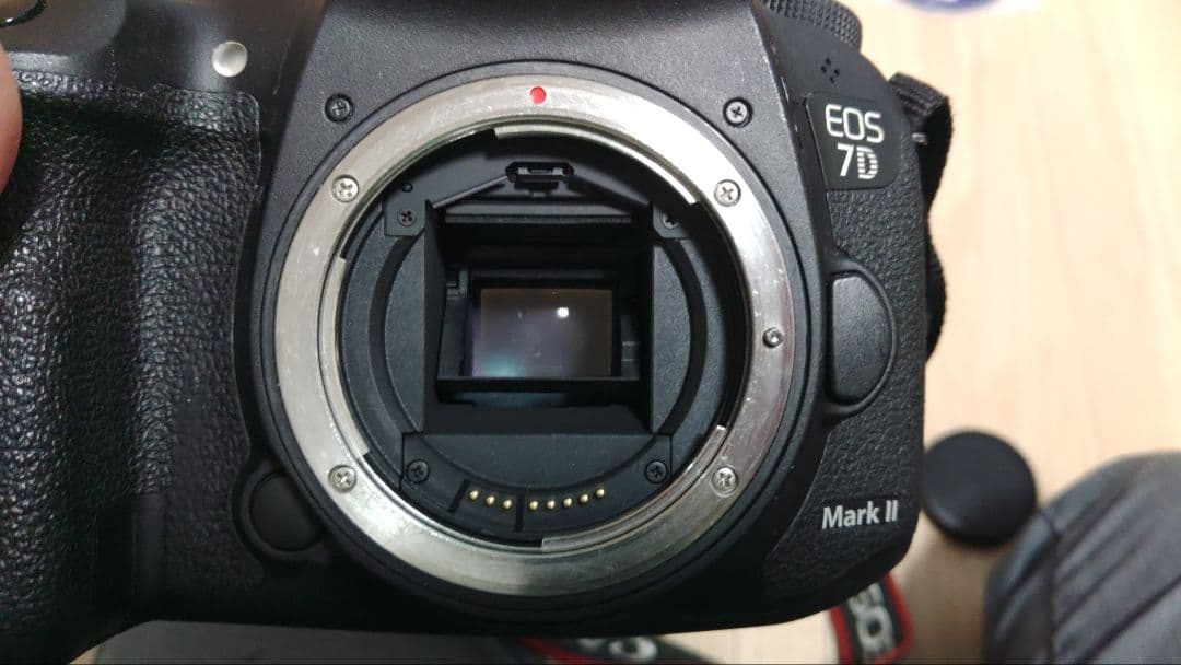 Canon EOS 5D Mark III & 7D Mark II セット