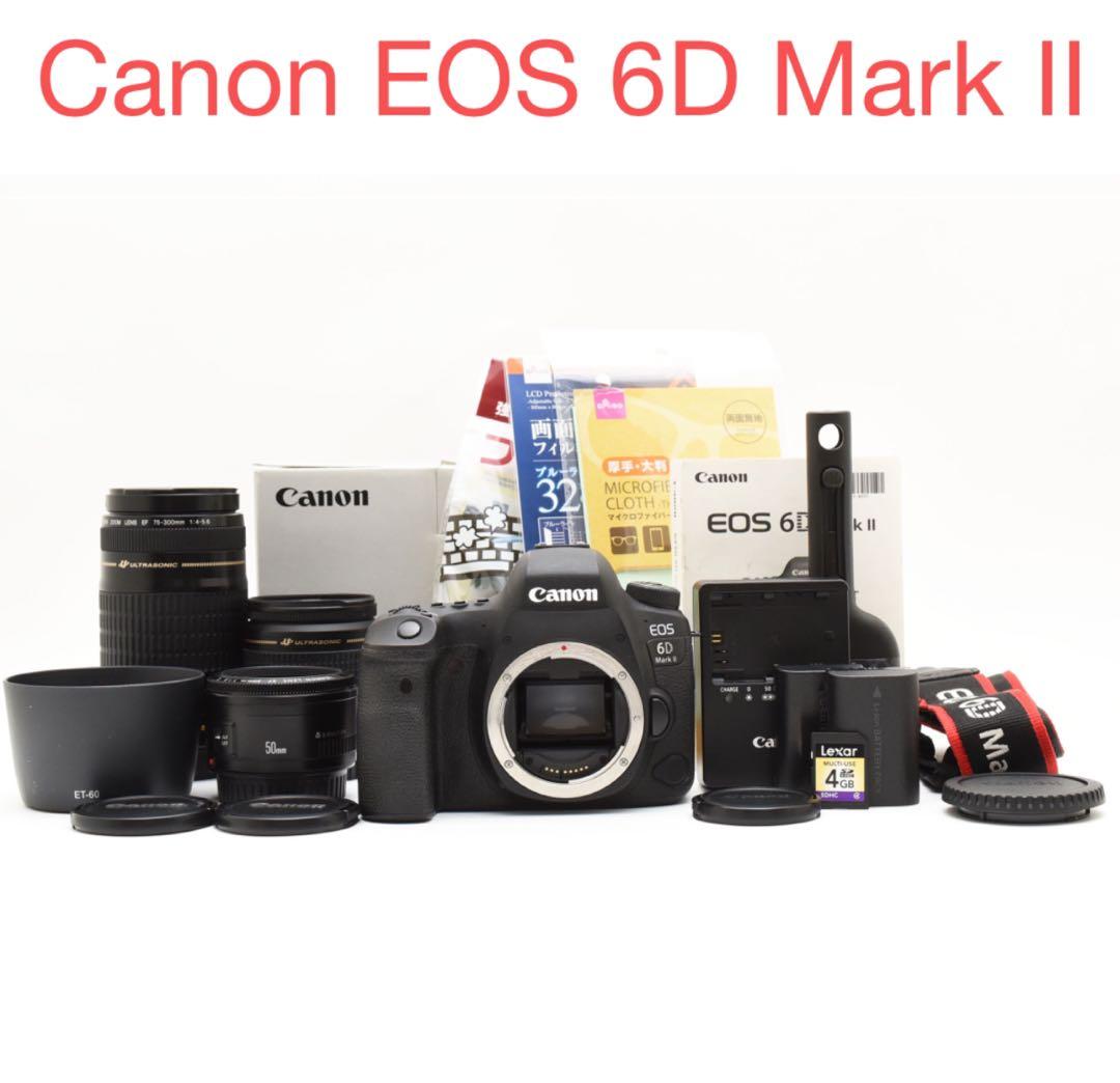 Canon EOS 6D mark II 標準&望遠&単焦点トリプルレンズセット