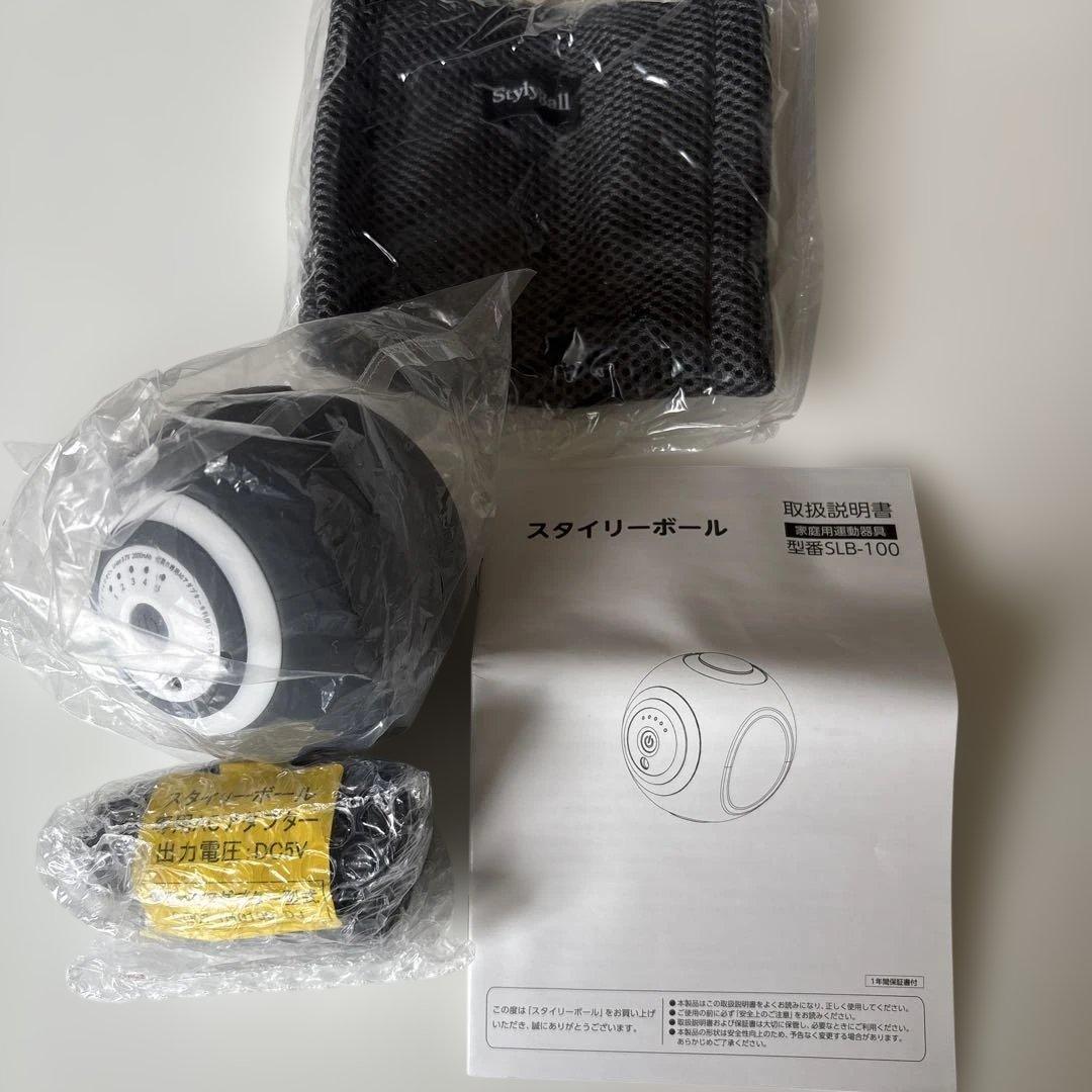 こづち様❣️[新品未使用]スタイリーボール　ブラック　型番SLB-100