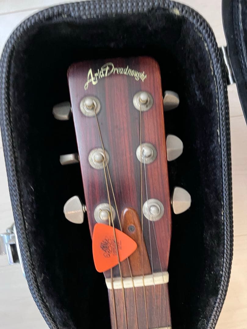 アコースティックギター ハードケース付き　AriaDreadnought