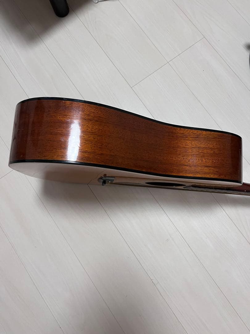 アコースティックギター ハードケース付き　AriaDreadnought