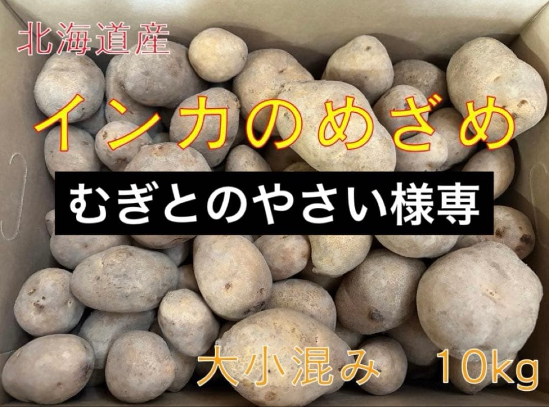 【むぎとのやさい】北海道産じゃがいも（インカのめざめ）　大小混み10kg