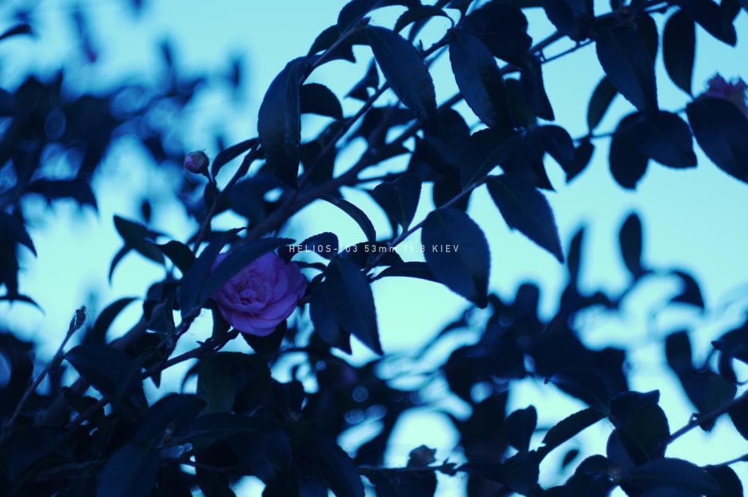 HELIOS-103 53mm F1.8 キエフ M42マウント改造レンズ