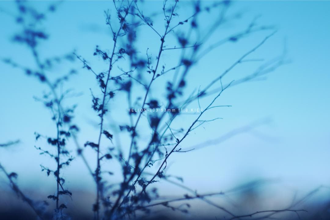 HELIOS-103 53mm F1.8 キエフ M42マウント改造レンズ