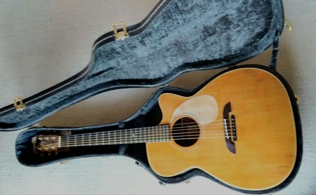 【要コメント】さま専用 ヤイリギター WEIR-1E