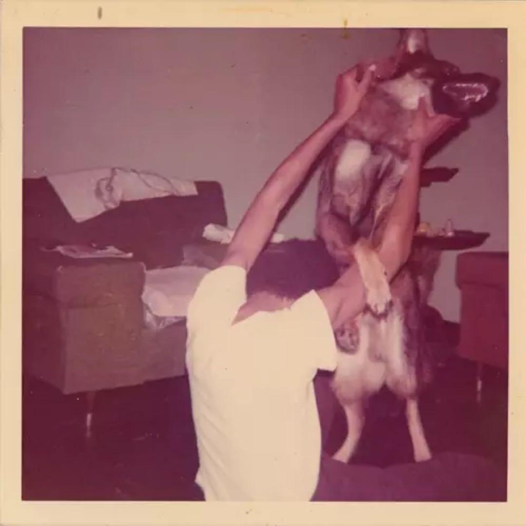 ELUCID (ARMAND HAMMER) LP レコード　未開封