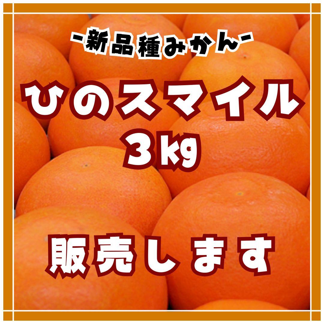 熊本みかん　熊本EC12 ひのスマイル　3キロ　バラ詰め家庭用　メルカリショップ