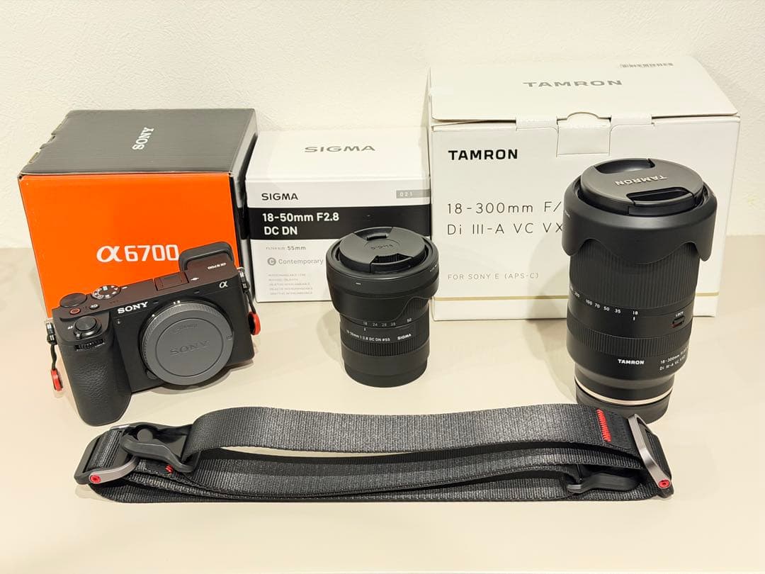 Sony α6700 + Tamron18-300mmレンズセット