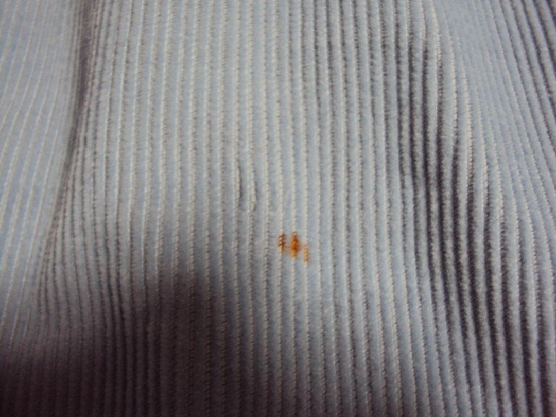 70S LEE アイスブルー コーデュロイ　S～M位　 JKT　薄い水色