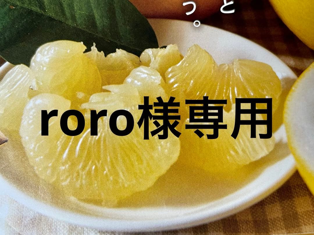 roro 土佐文旦B品大玉20キロ