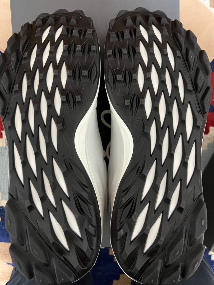 エコーMゴルフバイオムハイブリッドシューズ