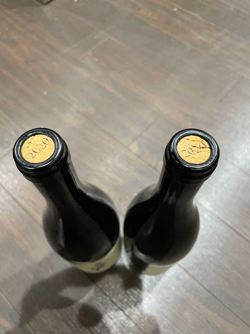 【２本セット】アンドレアス・ツェッペ　2020 サラマンダー　トカゲ