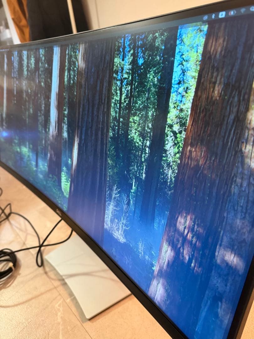 DELL ウルトラワイド曲面ディスプレイ 本体　p3421w