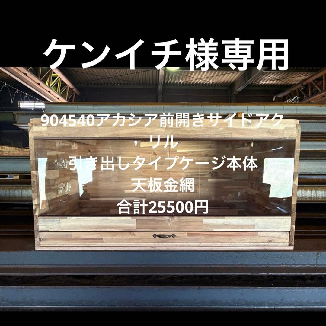 ケンイチ　904540