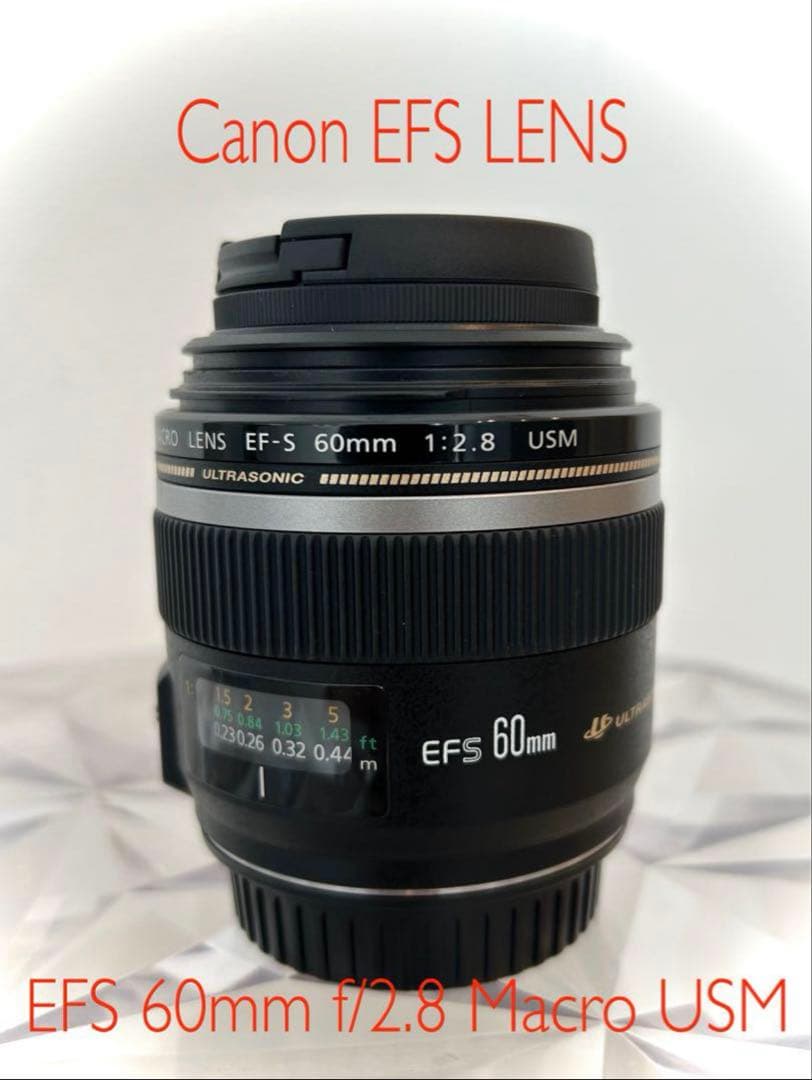 ✳︎美品✳︎ Canon EFS60mm f/2.8 Macro USM カメラ