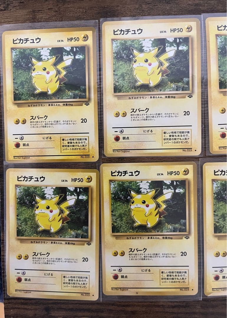 ジャングル　ピカチュウ　旧裏　１２枚