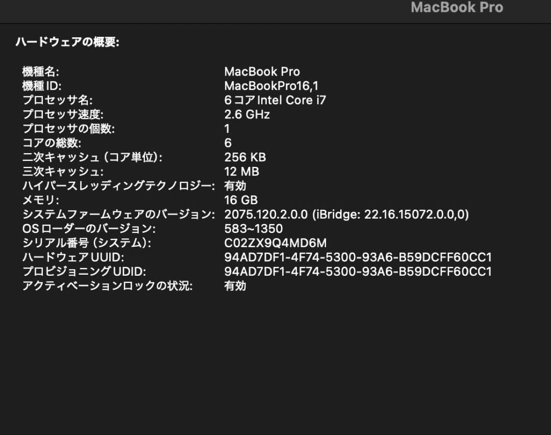 MacBook本体 MacBook Pro 16inch 2019
