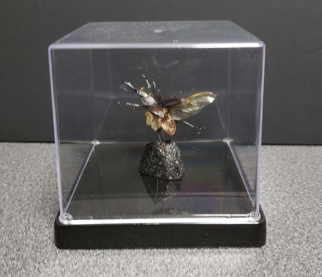 ケムンパス出品 立体標本3点