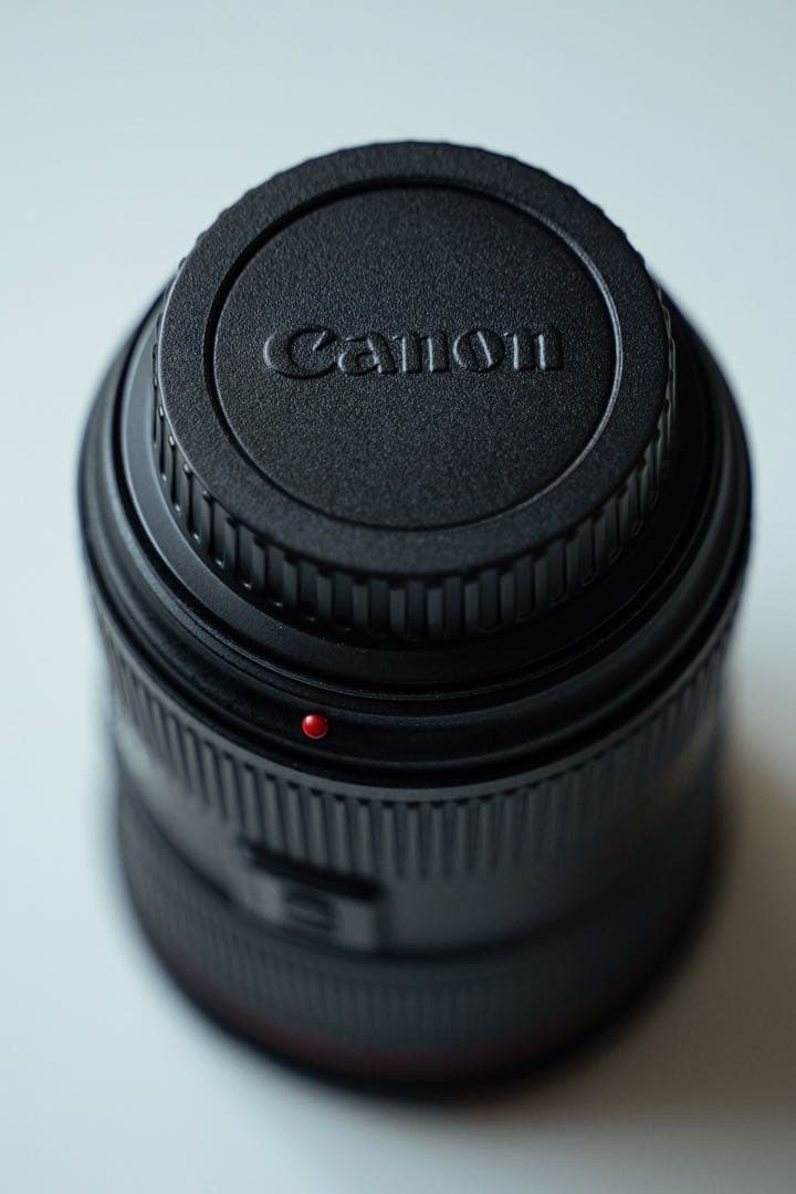 レンズ(ズーム) EF 24-70mm f/2.8L II USM Canon