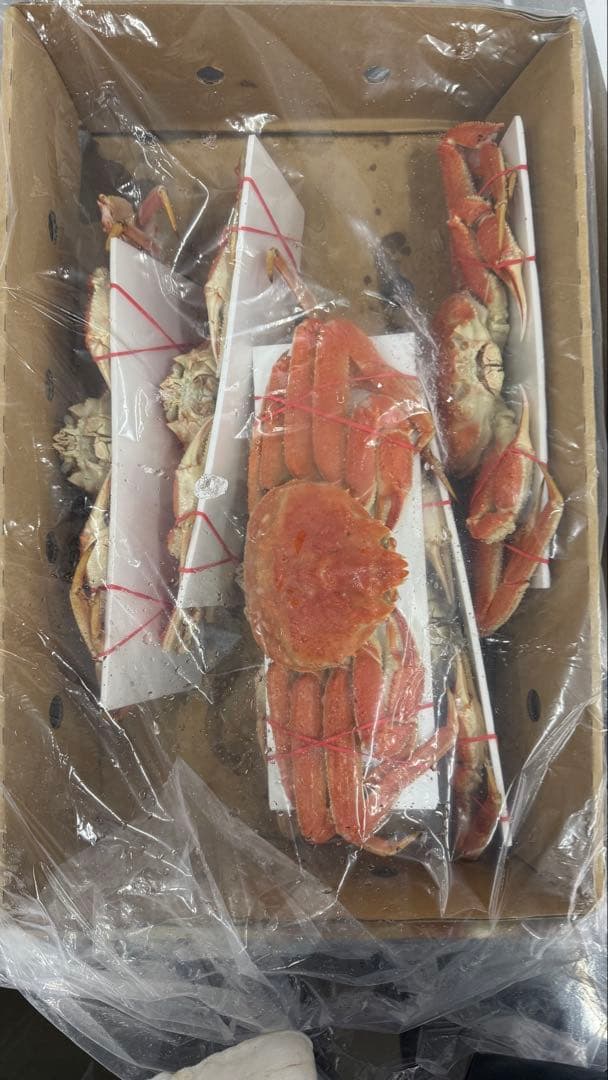 北海道産ボイルオオズワイガニ！特大！ラスト2個！冷凍 3k6匹入り！