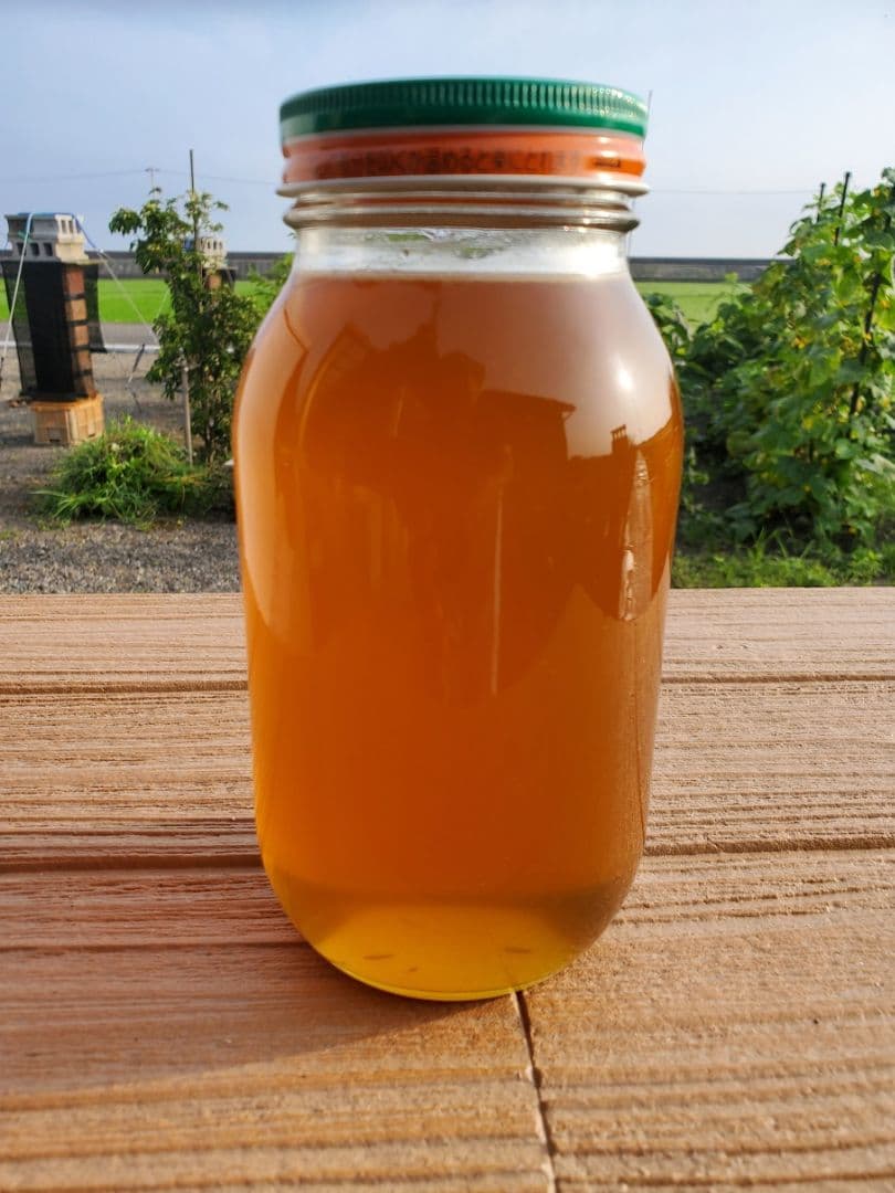 No.10　★日本蜜蜂のはちみつ★1200g(1瓶)