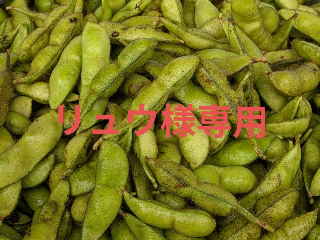 ★リュウです!!　丹波黒の枝豆　A品　美品　4kg