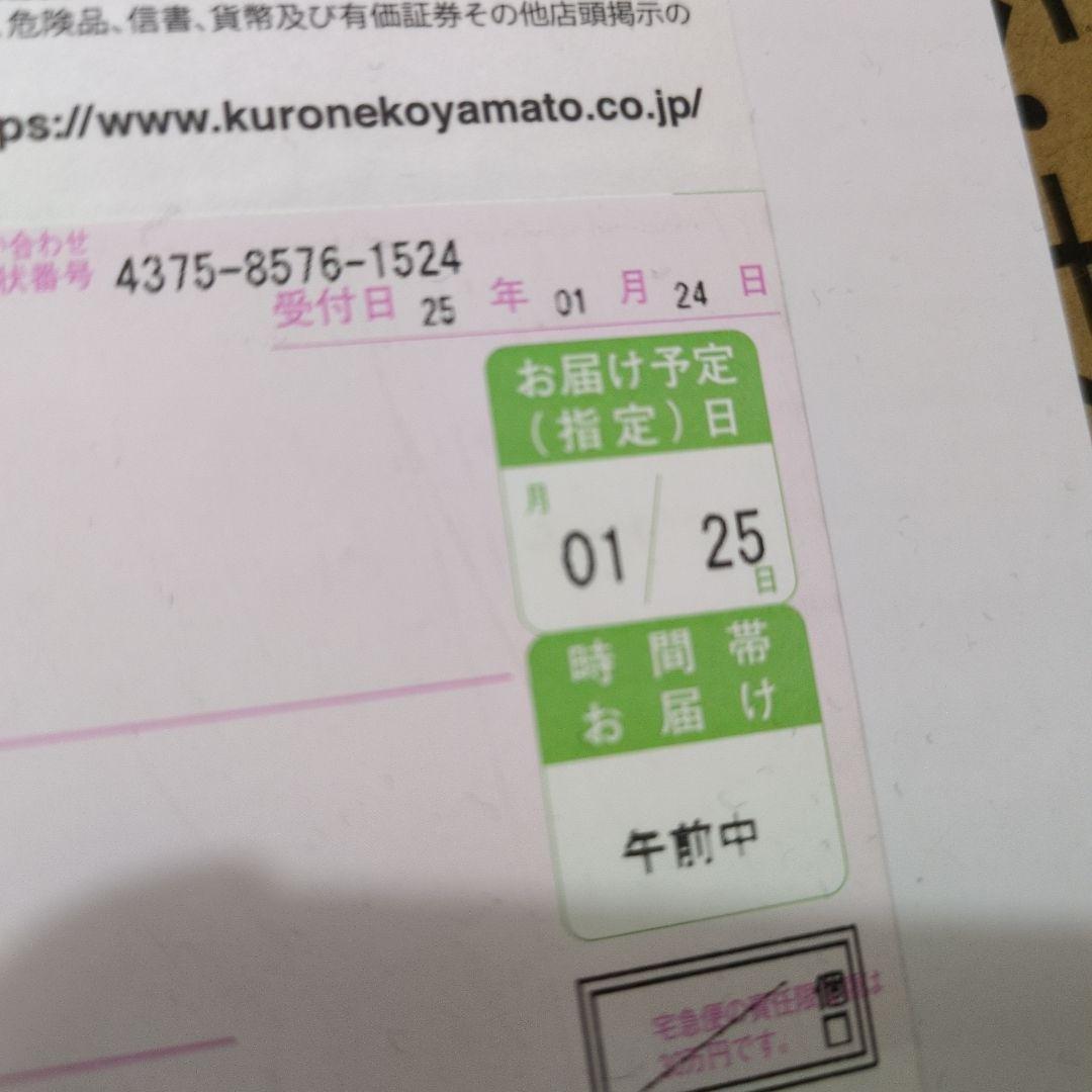 専用出品　オイルヒーター RHJ75V0815-CR デロンギ