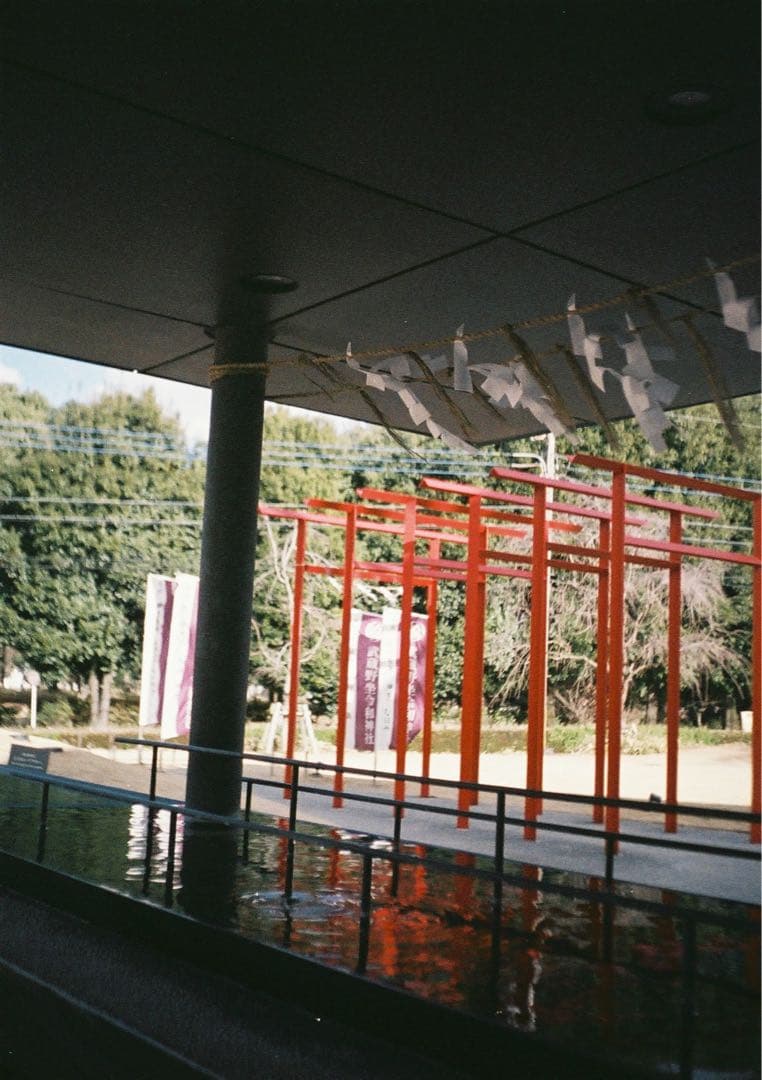 【訳あり＊試写あり】リコーオートハーフS