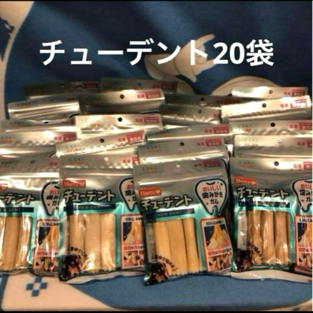 チューデント　20袋
