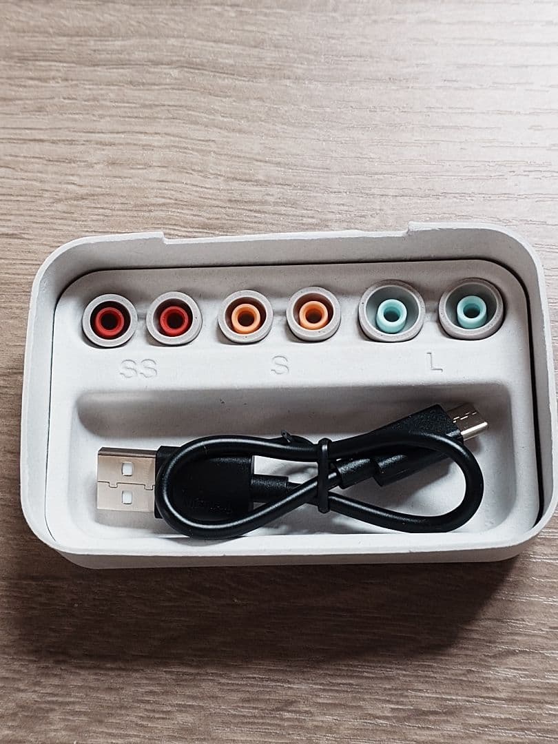 SONY ワイヤレス ノイズキャンセリングイヤホン WF-1000XM5