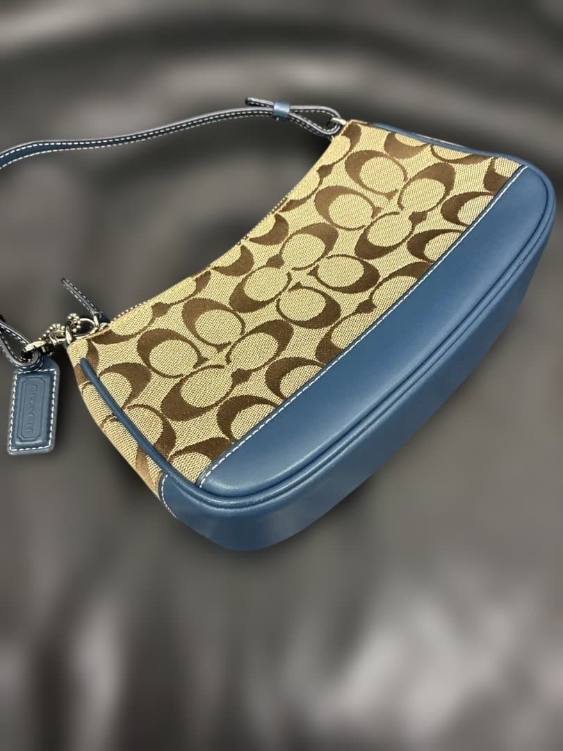 【希少カラー】coach ショルダーバッグ アクセサリーポーチ 青 ブルー