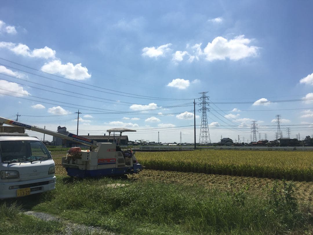 送料込み！令和7年9月新米ひとめぼれ　埼玉県熊谷産　専業農家　白米10キロ　中米