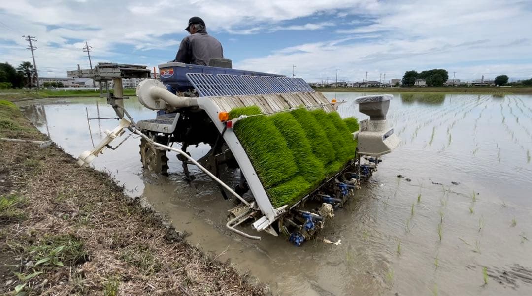 送料込み！令和7年9月新米ひとめぼれ　埼玉県熊谷産　専業農家　白米10キロ　中米