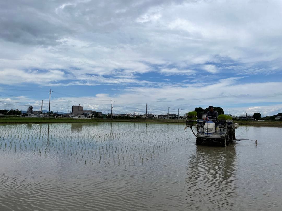 送料込み！令和7年9月新米ひとめぼれ　埼玉県熊谷産　専業農家　白米10キロ　中米