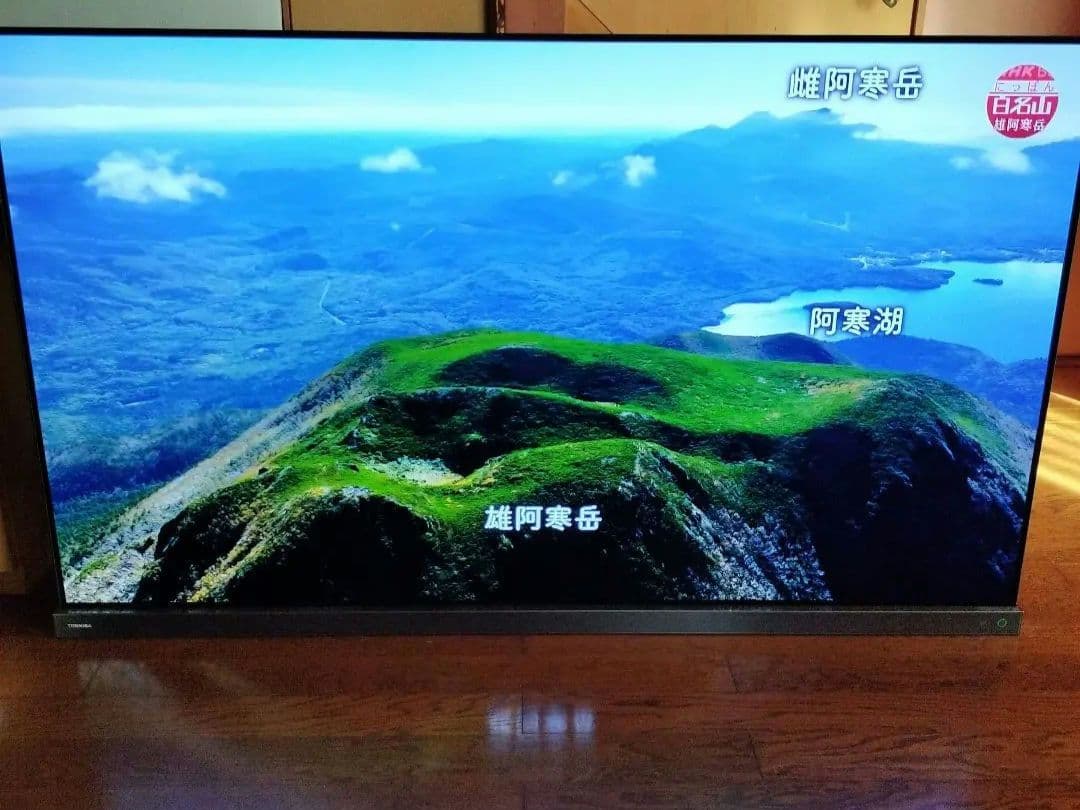 値下げ―REGZA有機EL/65X9400 /引取無料