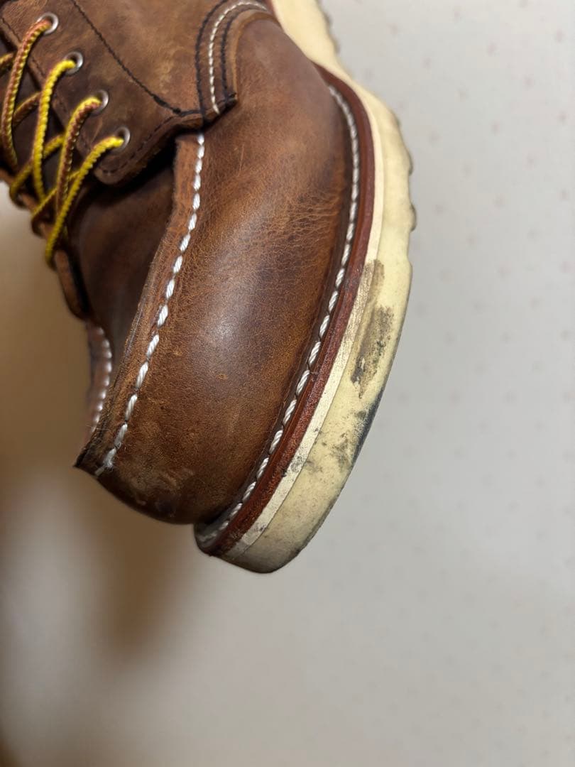 REDWING アイリッシュセッター